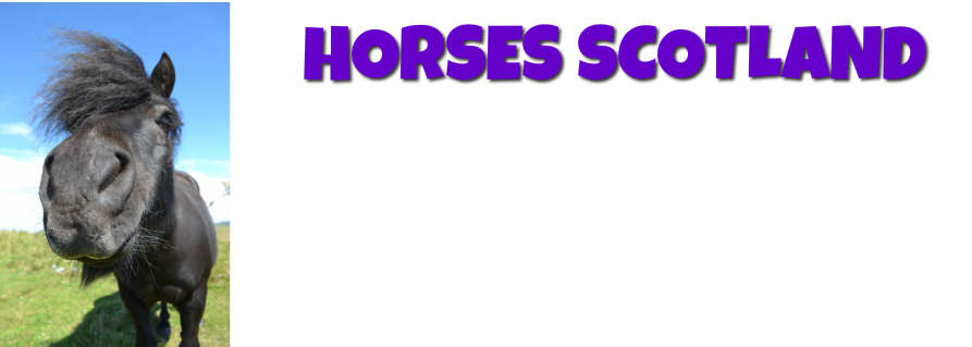 Horses Scotland